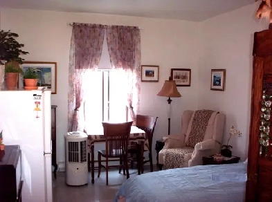 AGRÉABLE STUDIO  1 ½  IMMEUBLE TRANQUILLE Image# 1