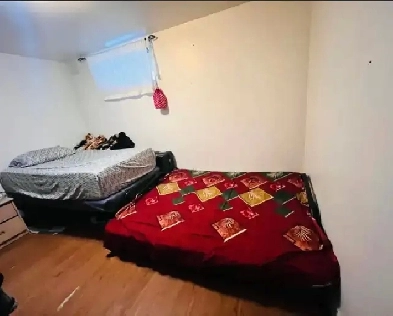 In Malton, Room available on sharing basis for one girl Image# 1