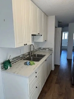 Large 1 BDRM & Den In Old Strathcona! RENOVATED! Exc.Location! Image# 4