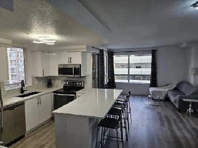Luxurious FULLY RENOVATED FURNISHED 2-bed, 2-bath apartment DT Image# 9