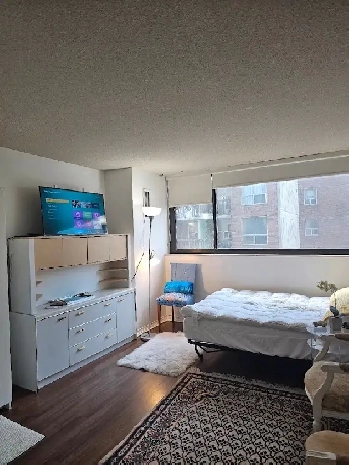 Private Room For Rent in Downtown Toronto Image# 1