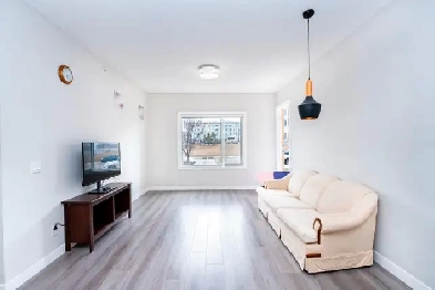 Beautiful Apartment for Rent Image# 18