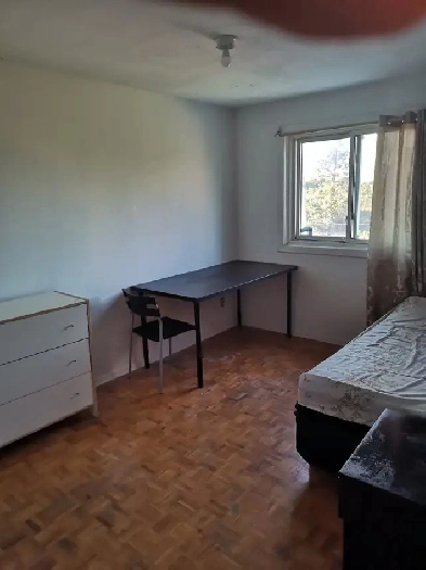 Room for rent, Parking , Finch /Victoria P, Seneca College,(male Image# 1