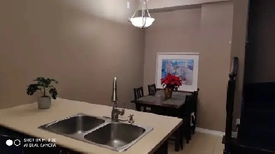 York university village Image# 1