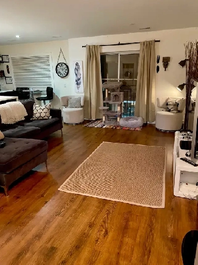 Pet Friendly Short Term Condo, May 20 - June 4 Image# 6