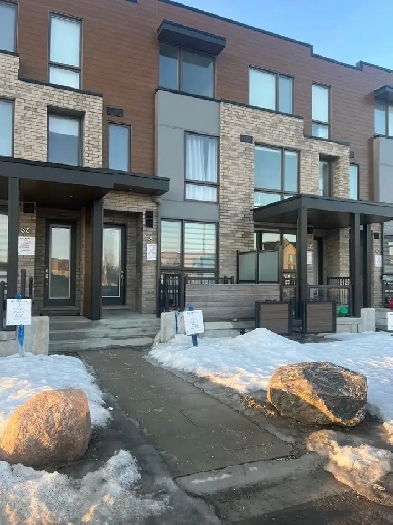 furnished 1BR basement for rent Image# 2