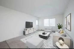 Spacious and Bright apartment Image# 8