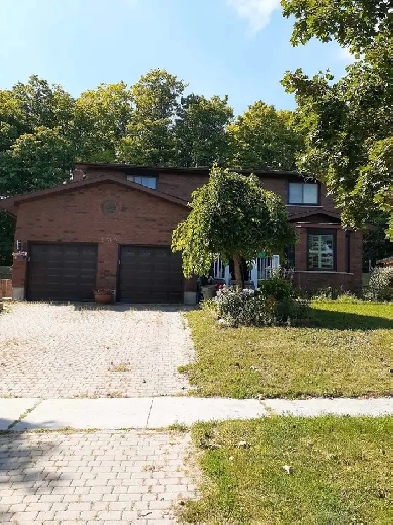 Room for rent in four bedroom house Image# 3