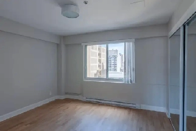 renovated one bedroom apartment near McGill - ID 173 Image# 1