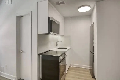 Renovated Studio near blvd Saint-Laurent - ID 1452 Image# 1