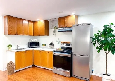 Studio Basement Apartment for Rent ! Image# 1