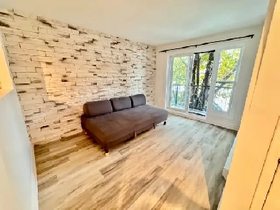 Rosemont 5 min du plateau ! de Lorimier et Dandurand! Image# 1