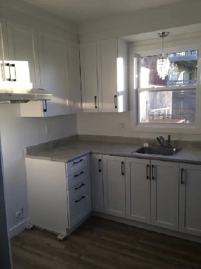 Beau grand loft ( 3 1/2 ) Image# 4