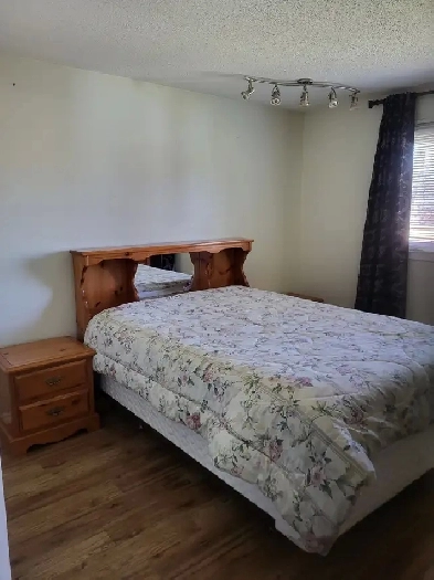 Two Furnished Single Bedrooms Available - Shared Accommodation Image# 4