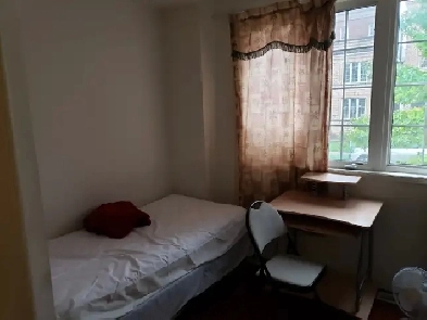 Rooms right by York University, Seneca, Schulich Business School Image# 1