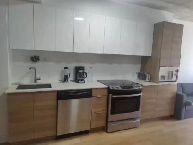 Montreal downtown 3 1/2 furniture apartment for rent Image# 1