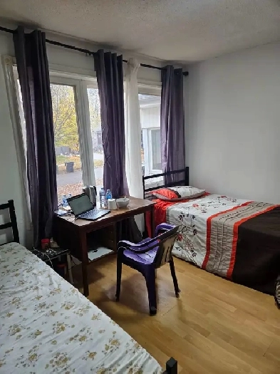 Sharing Room For Rent Image# 2