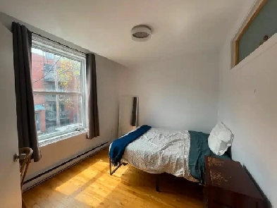 June Sublet in Plateau Image# 1