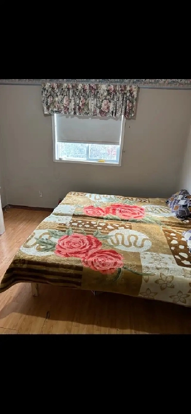 Rooms and basement for rent brampton Image# 1