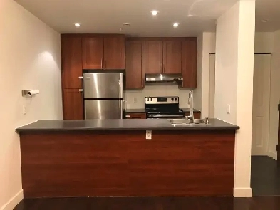 Magnifique condo 4 1/2 à louer – lumineux, bien situé Image# 1