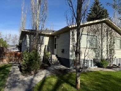 Beautiful renovated 2br Upper 1/2 duplex Inner city $1895 mo. Image# 4