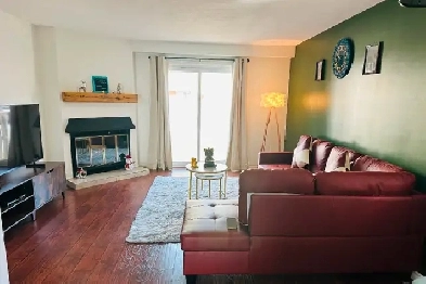 All inclusive Bachelor studio near Algonquin and Bayshore Image# 2