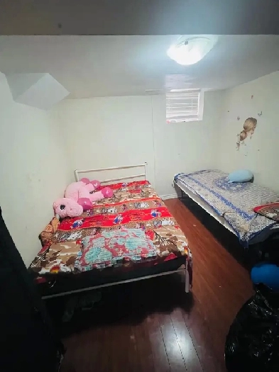 Two bedroom basement for Rent Brampton 1st  jun 2025 Image# 5