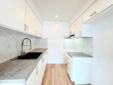 très grand et bel appartement à louer Image# 1