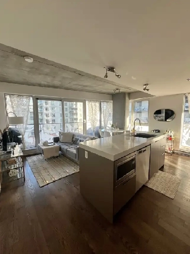 GRIFFINTOWN: 2 Bedroom Corner Unit for Rent $2695 with Parking Image# 5