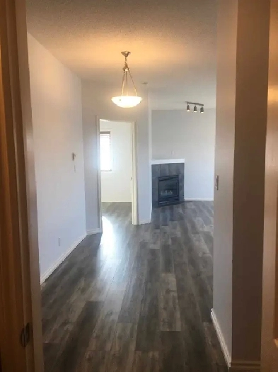 For Lease: Newly Renovated 2 Bedroom, 2 Bath Downtown (Oliver) Image# 10