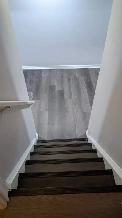 Spacious and Clean Two Bedroom Basement For Rent Image# 5