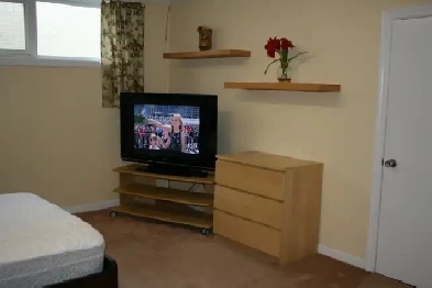 Bachelor Basement Apartment near Dufferin and Finch – Available Image# 1