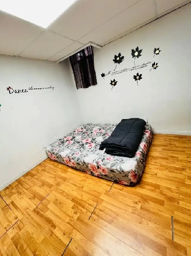 2 room basement available for girls Image# 1