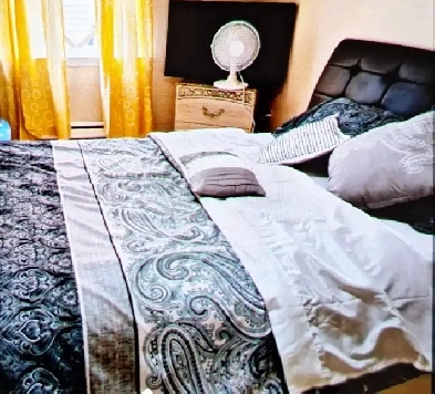 Habitación for Rent Image# 1