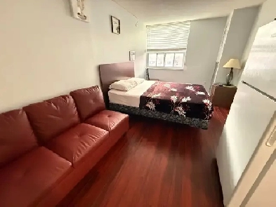 Furnished 2-bedroom apartment, Centennial College, asap Image# 10