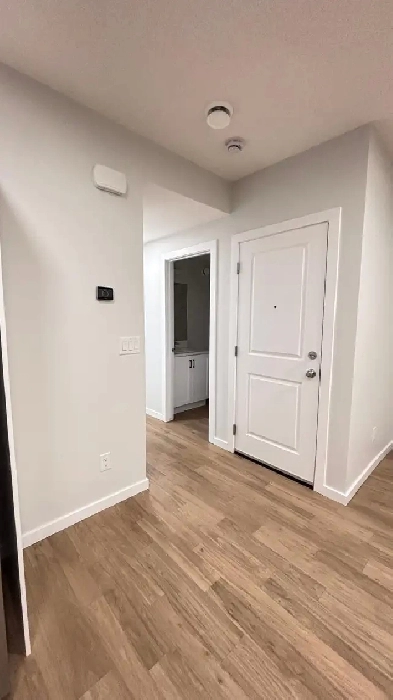 Brand New 2-BR Legal Basement – Available Now in Vermilion Hill Image# 4