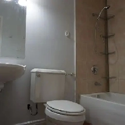 Looking for a family in a 2 bedroom legal basement from July 1st Image# 5