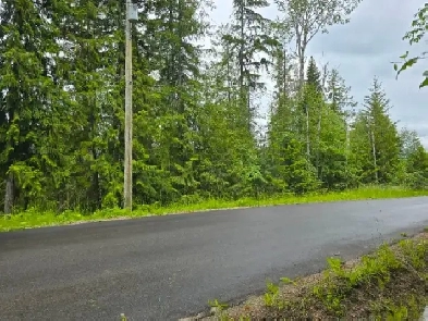 0.35-Acre Lot in Scenic Anglemont - Build Your Dream Home! Image# 2