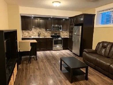 Pet-Friendly 1-Br Basement Suite Image# 1
