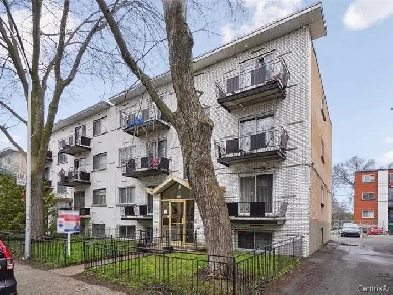Grand 4 et demi a louer a montreal nord Image# 9
