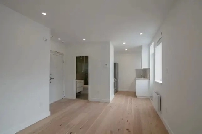 fully renovated studio, June 1, Snowdon, HEC, UdeM - ID 3400 Image# 1