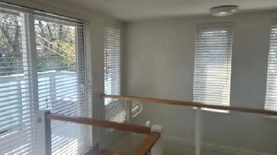 Laneway house near Trout Lake, light and airy Image# 1