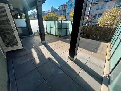 1 Bed 1 Bath Apartment in Beautiful Port Coquitlam Image# 13