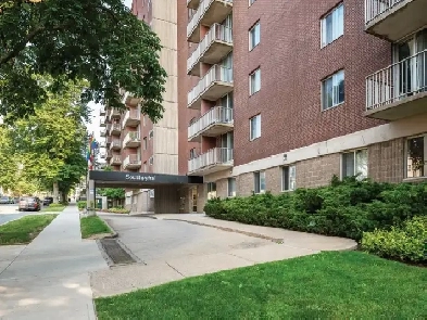 Halifax South End Studio Apartment Available July 1st Image# 1