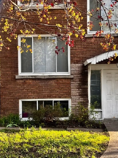 4 1/2 au sous-sol d'un duplex à louer Image# 1