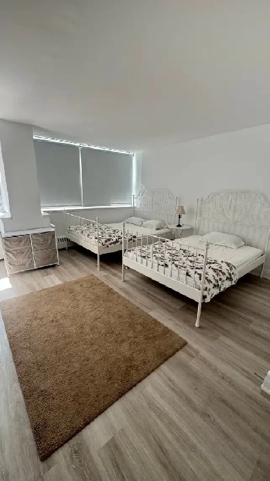 share room & unit / only female ‍ Image# 1