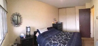 Room Available South of Londonderry Mall Image# 3