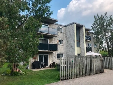 Nicely Renovated Large Studio Apartment 4 June - July 1st Image# 3