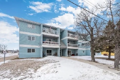 2 bedroom updated Condo for rent in Beausejour Image# 3