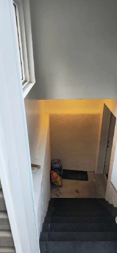 Appartement 3 1/2 Image# 5